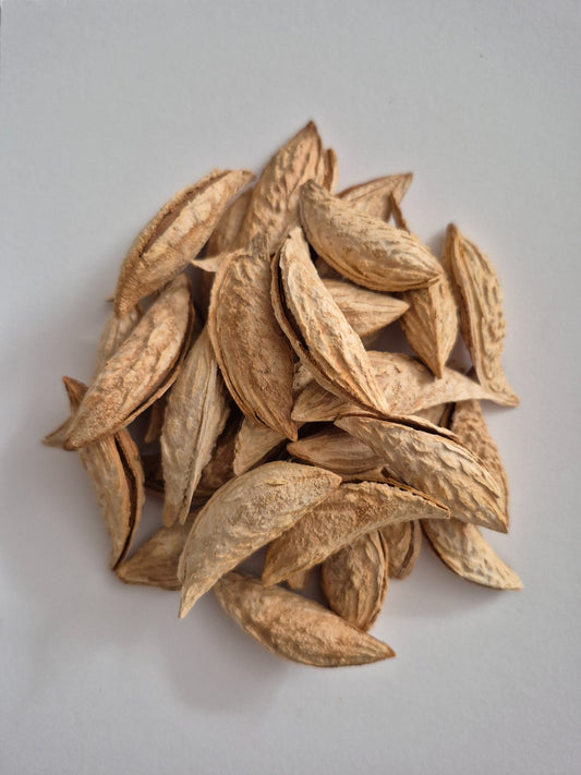 Jumbo Almond Inshell (Afghan Almond Type 1)